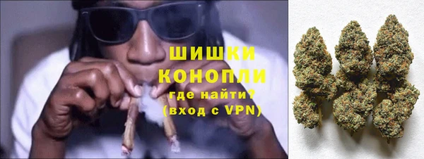 сатива Гвардейск
