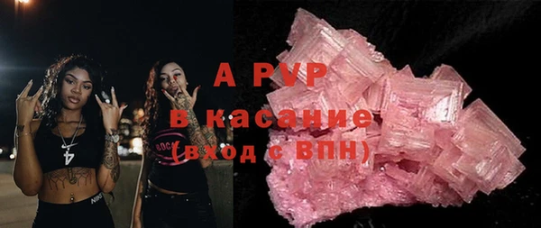 шишки Гатчина