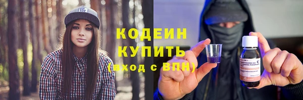 шишки Гатчина
