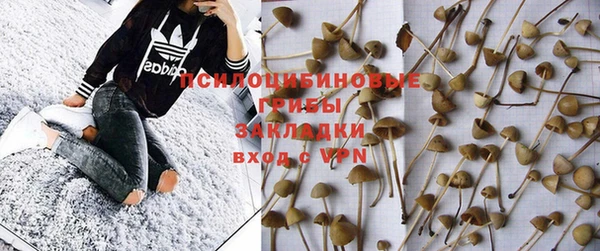 шишки Гатчина