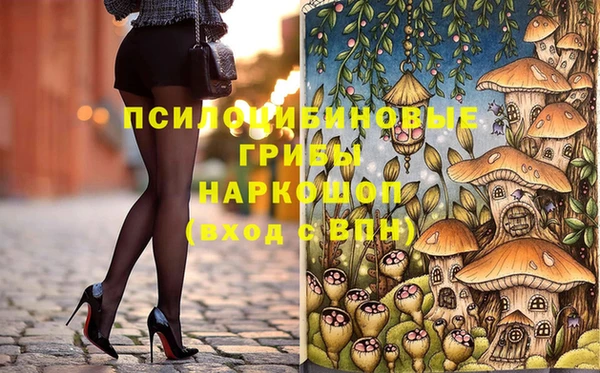 шишки Гатчина