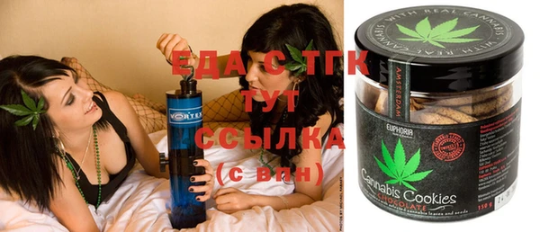 шишки Гатчина