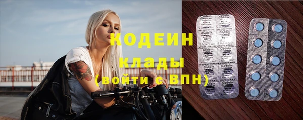 шишки Гатчина