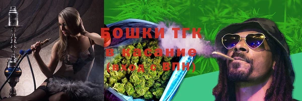 сатива Гвардейск