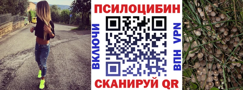 Псилоцибиновые грибы Psilocybe  Купить где  Лебедянь